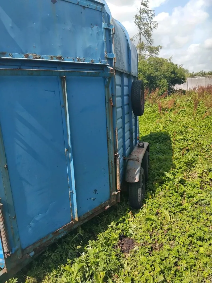 horse box x2 - Image 3
