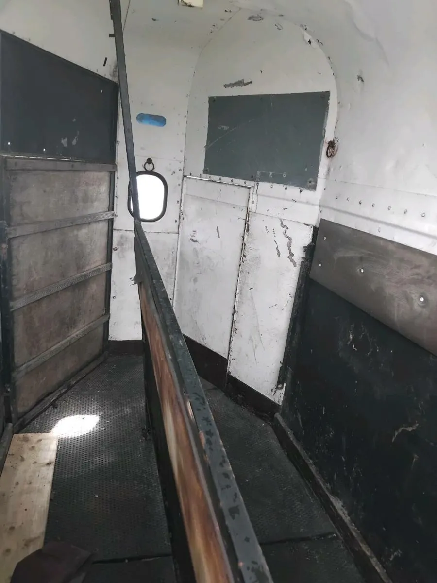 horse box x2 - Image 4