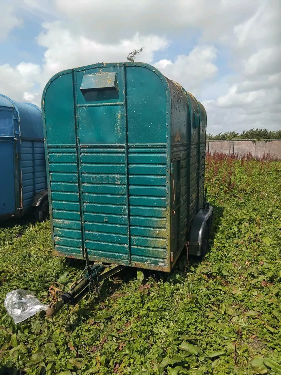 horse box - Image 3