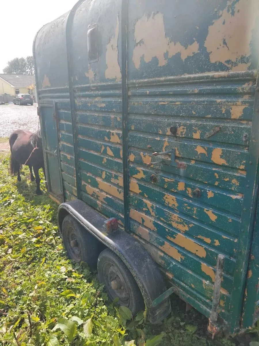 horse box - Image 4