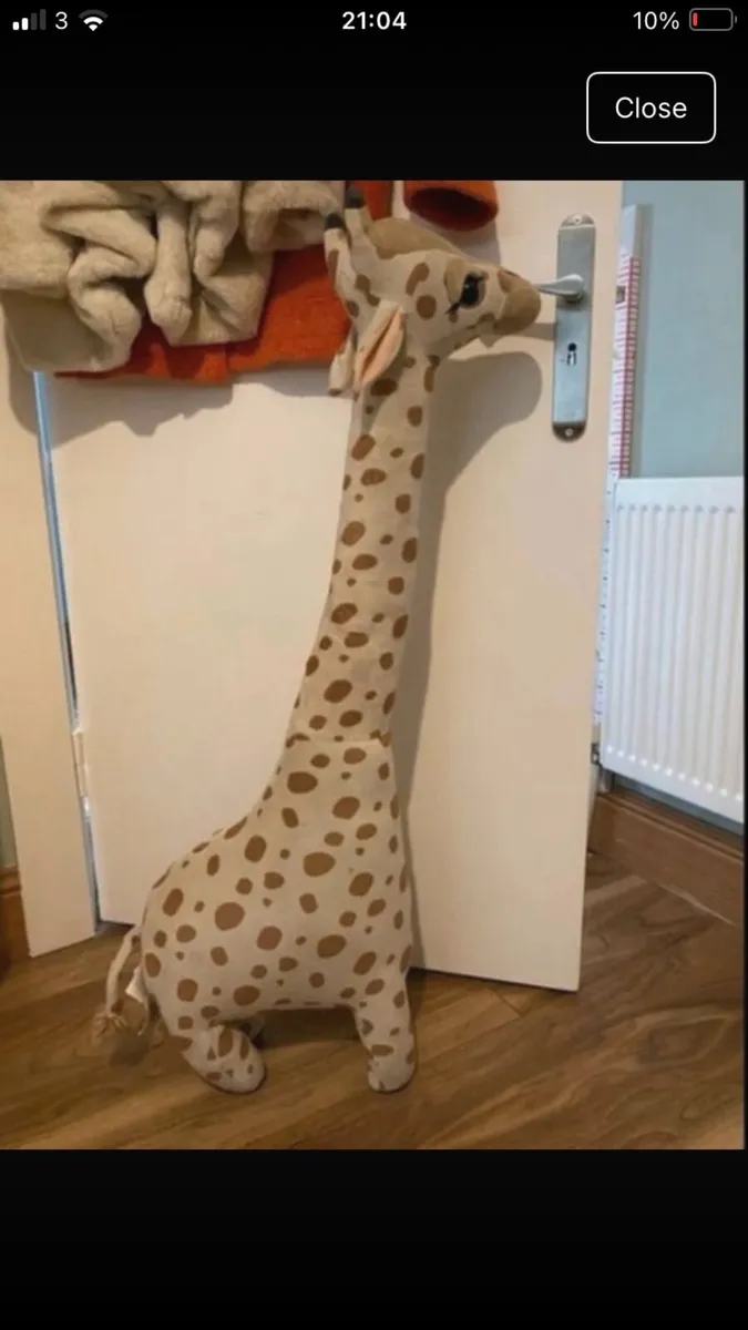 Safari giraffe