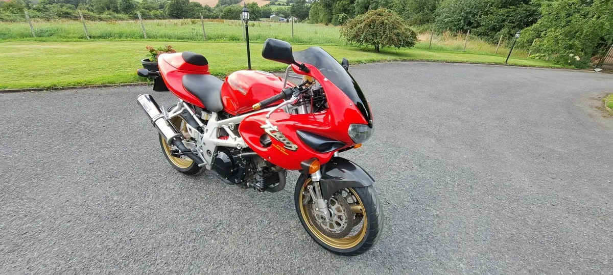 Suzuki tl1000s - Image 2