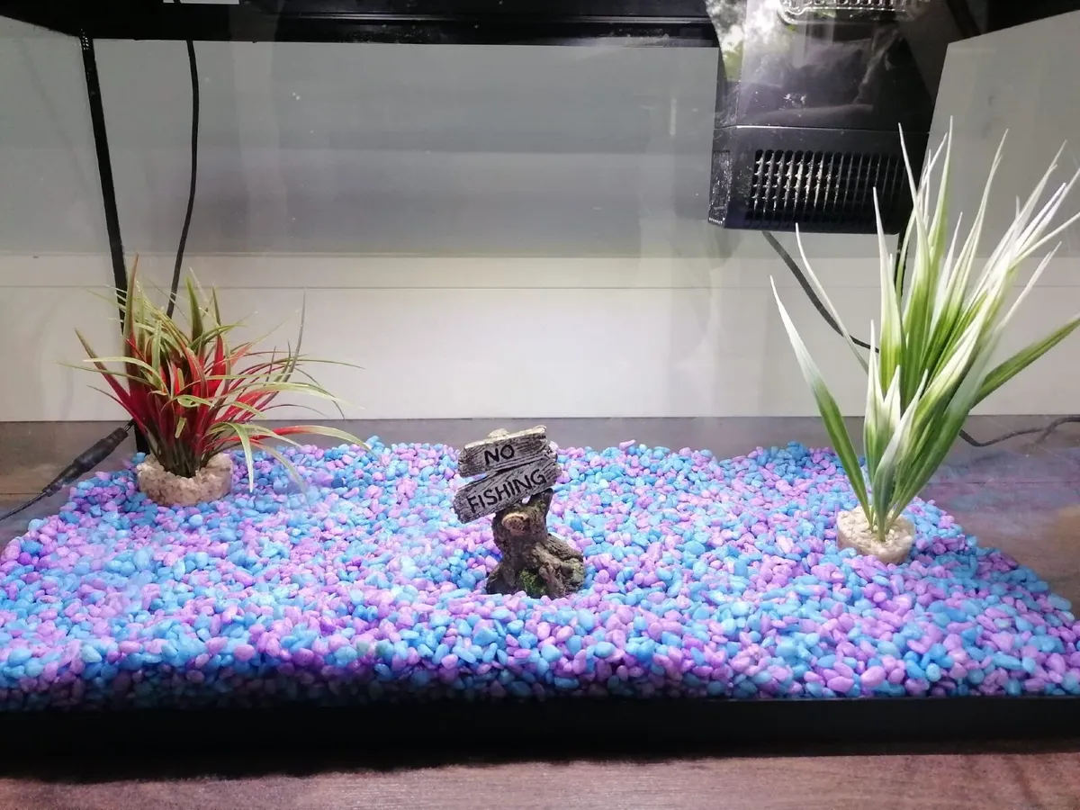 Fish Tank - Image 2