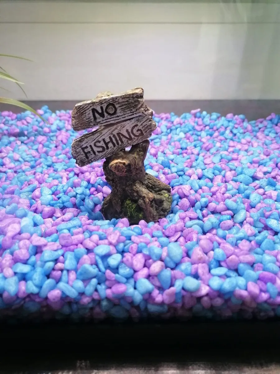 Fish Tank - Image 3