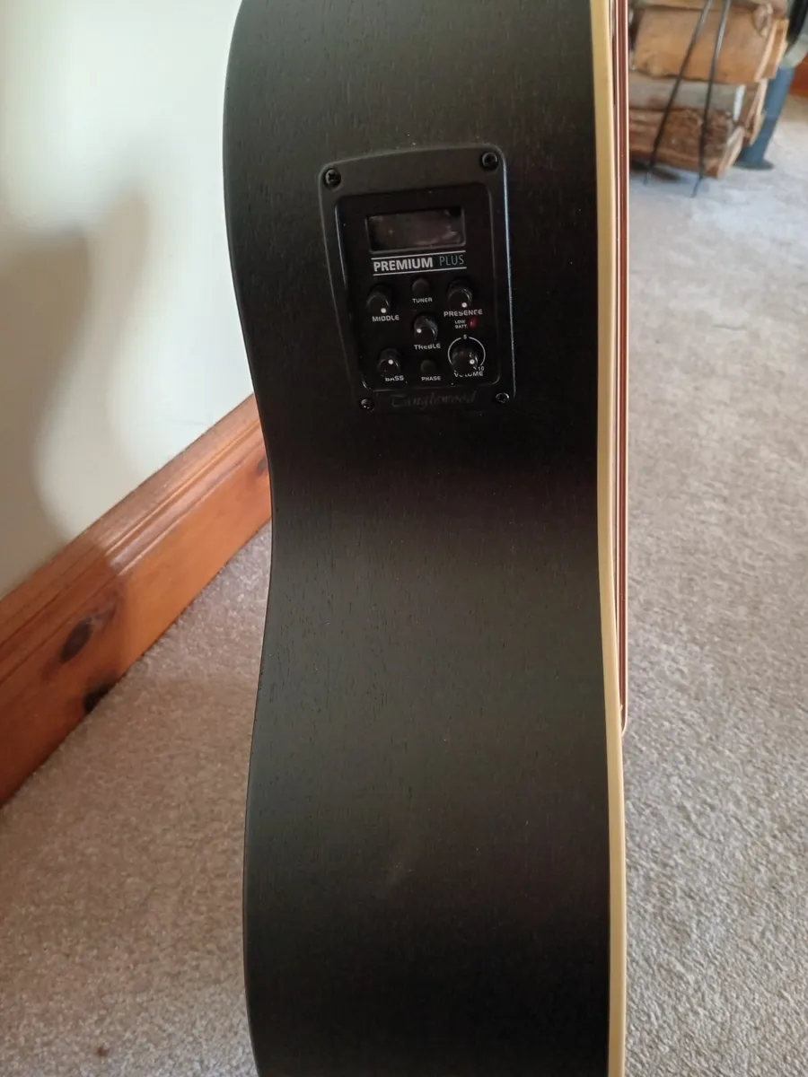 Guitar and amplifier - Image 2