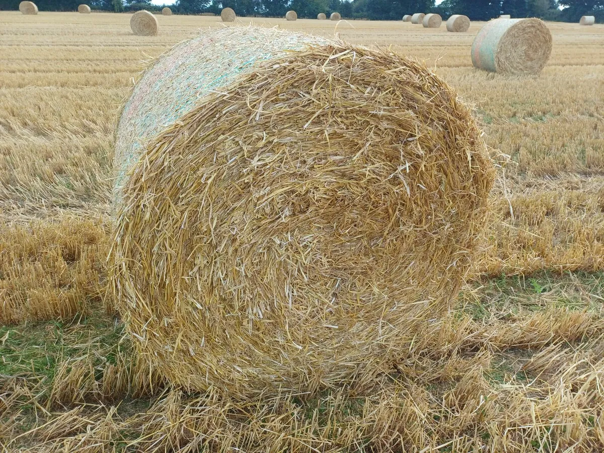 Straw Bales - Image 1
