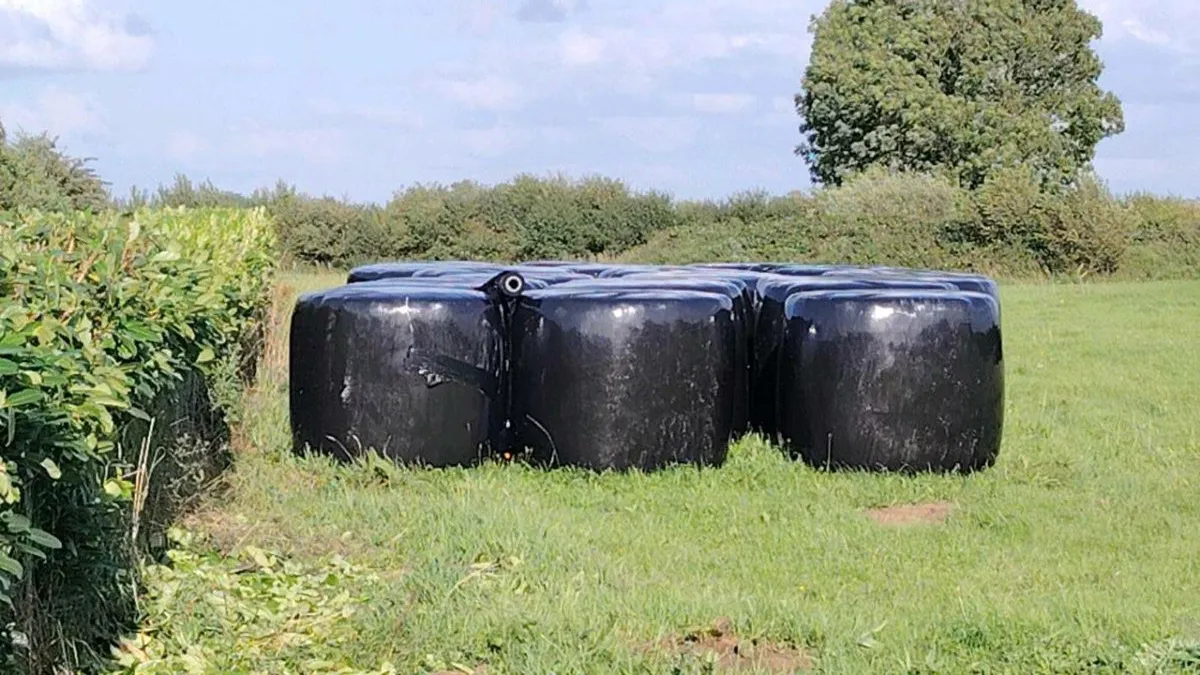 Haylage - Image 1