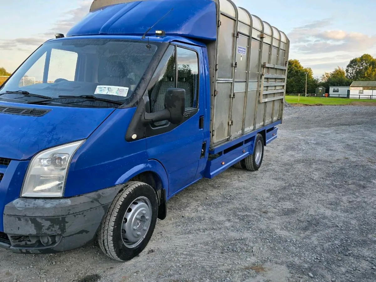 Ford Transit 2008 3.5t cattle lorry - Image 3