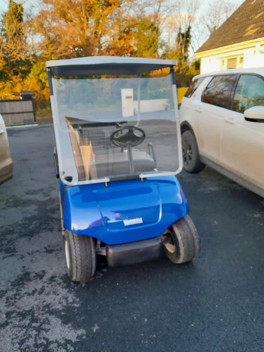 Golf Buggy