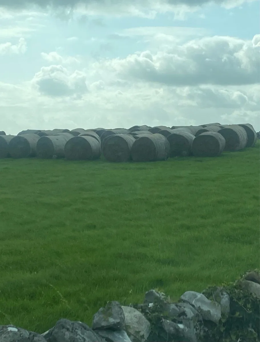 Round  bales Hay - Image 1