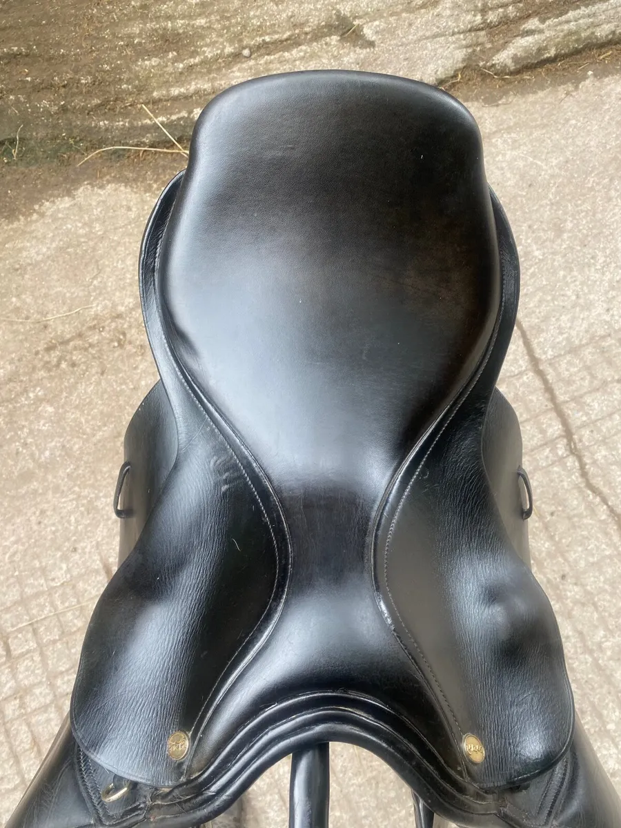 GFS black Jump Saddle - Image 4