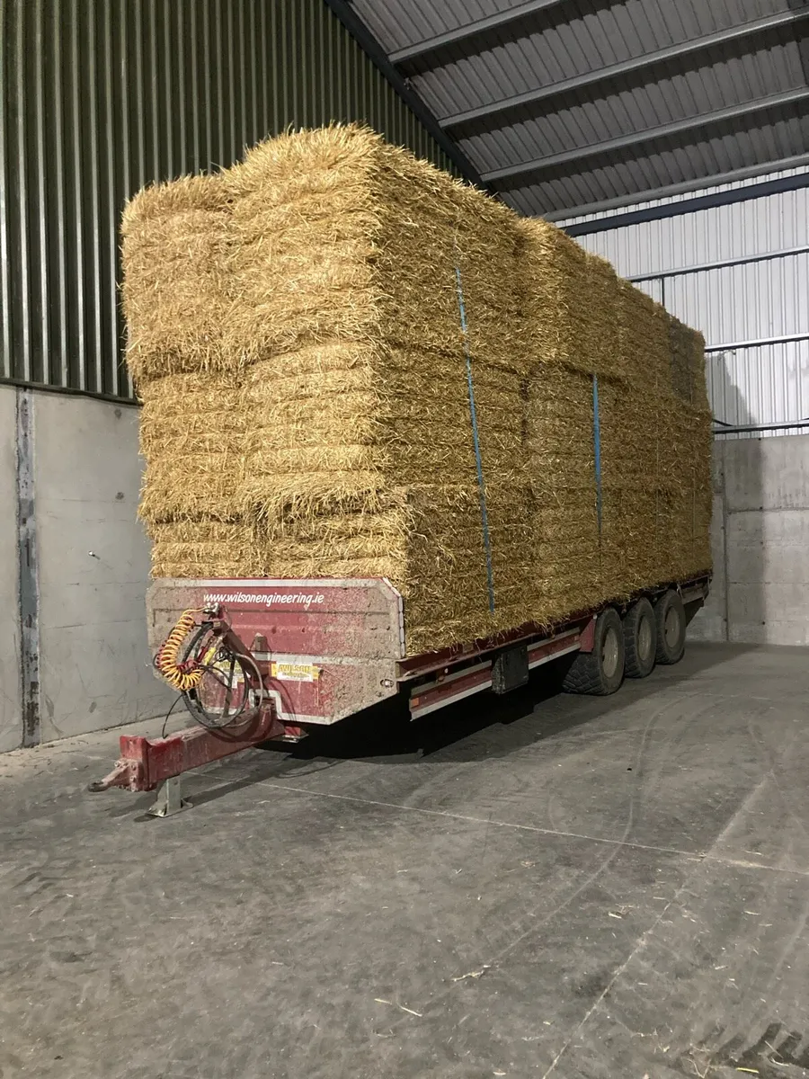 Wheaten Straw For Sale Per Ton - Image 3