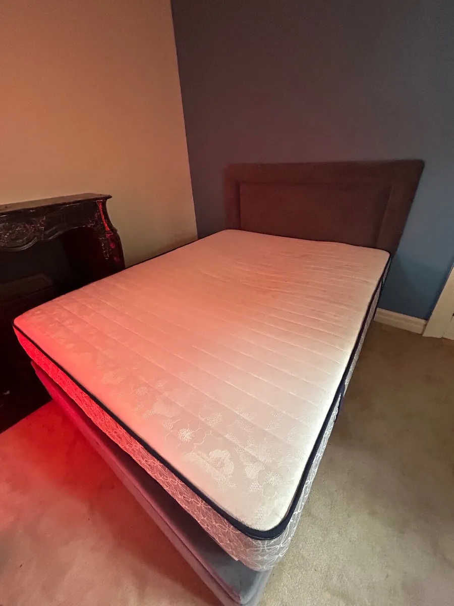 BED - Image 3
