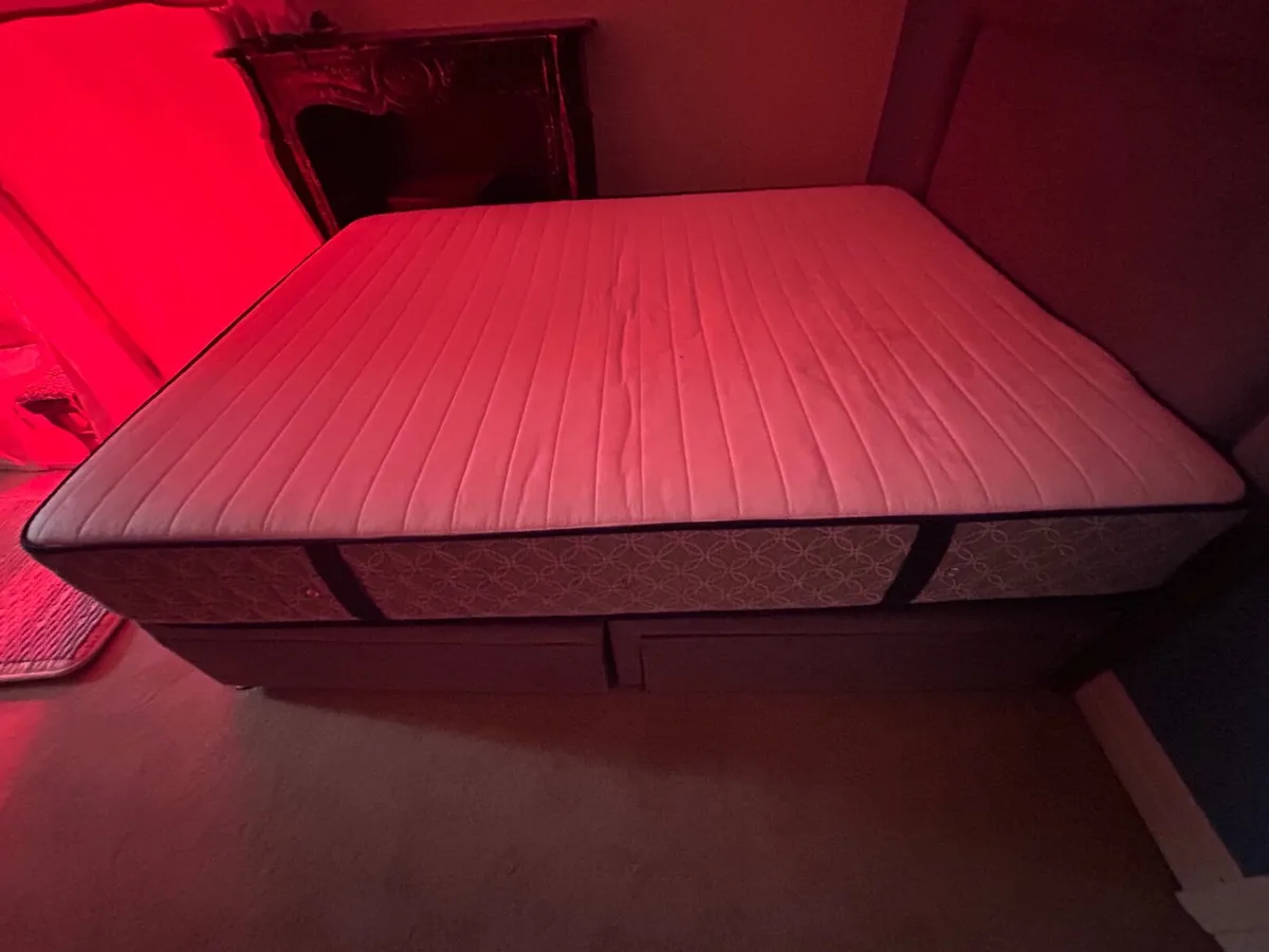 BED - Image 4