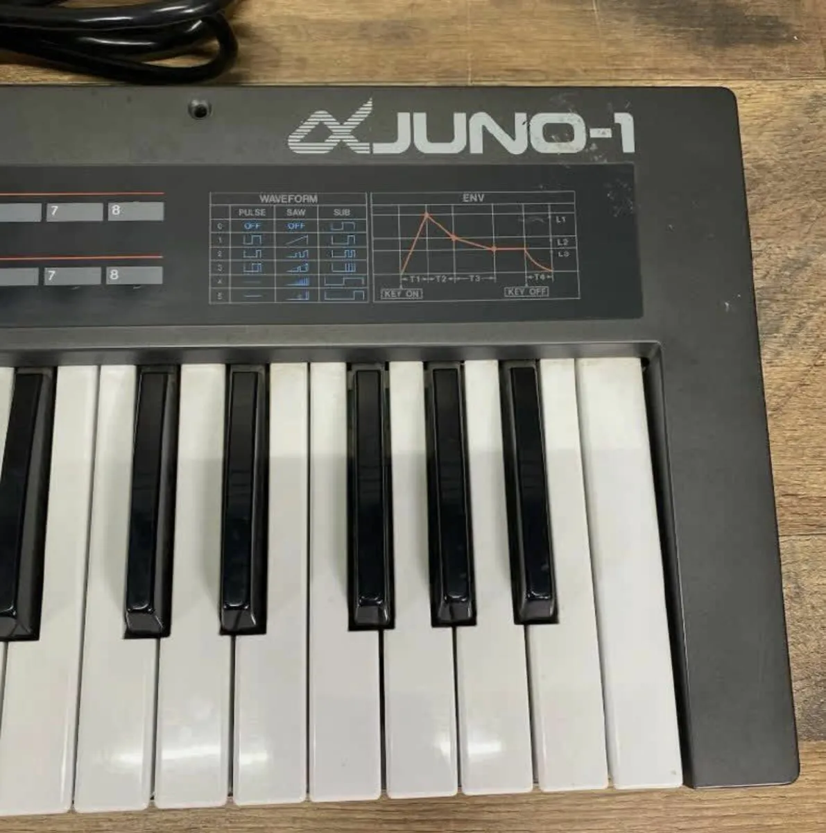 Roland Alpha Juno-1 49-Key - Image 3