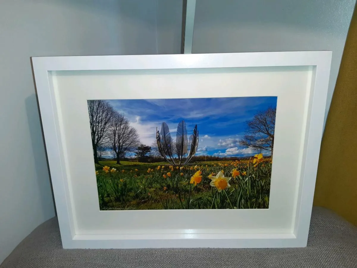 Midleton - Image 3