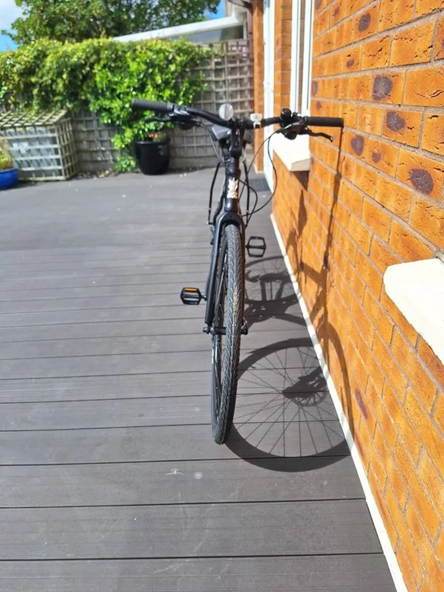 Adult bicycle - Image 2