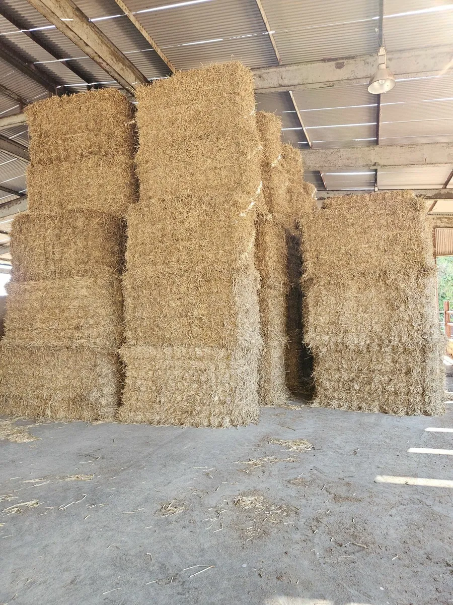 Dry Feeding Wheaten Straw