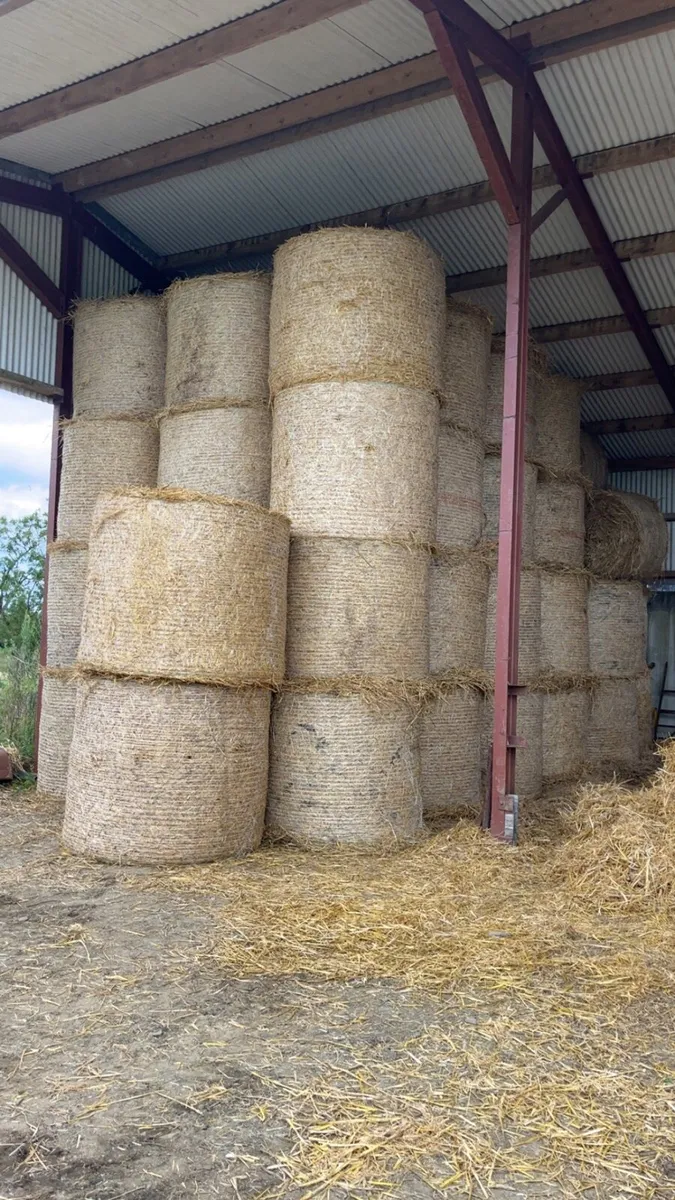 Hay&straw - Image 4
