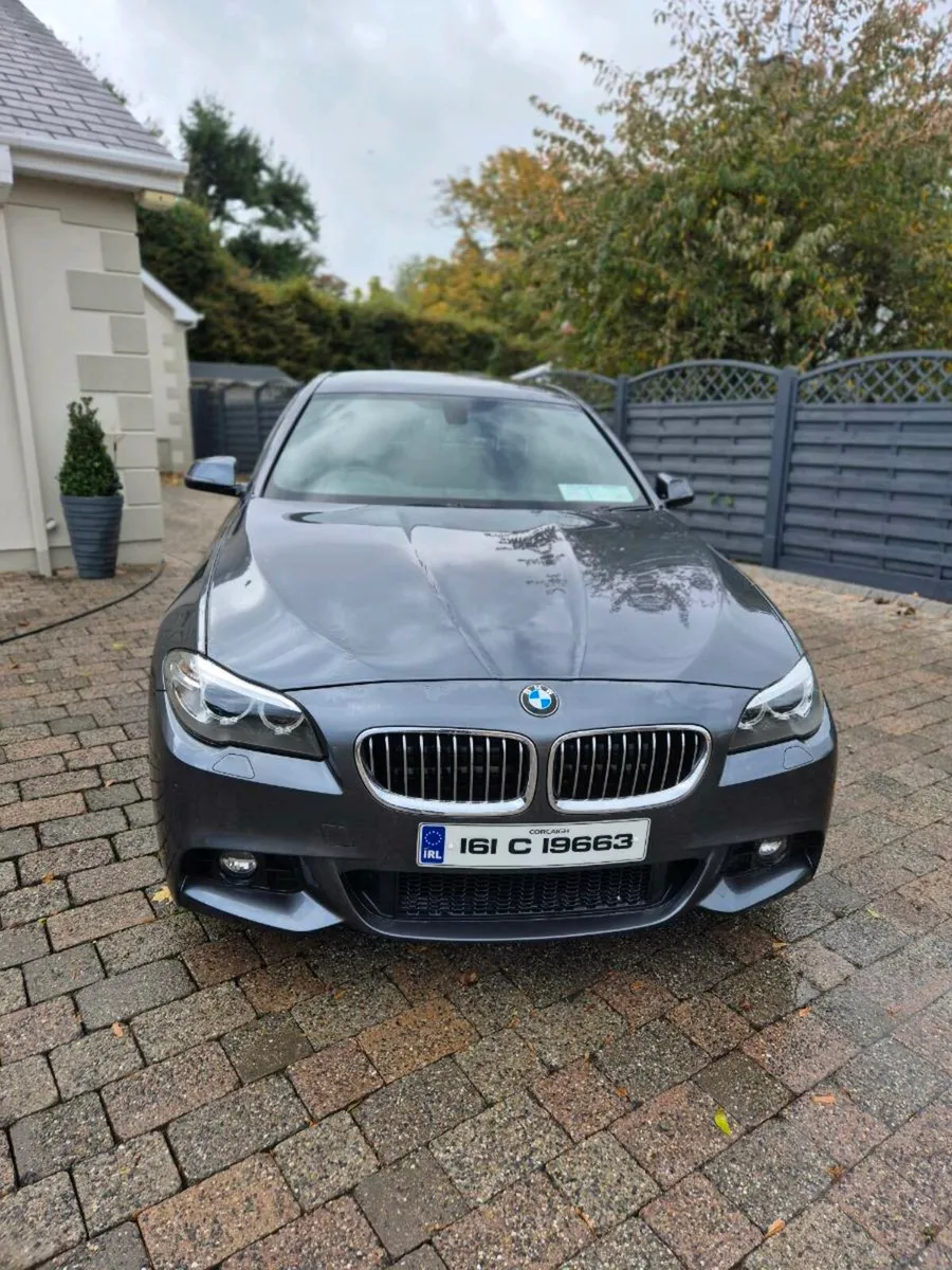 161 F10 520D BMW Msport - Image 2