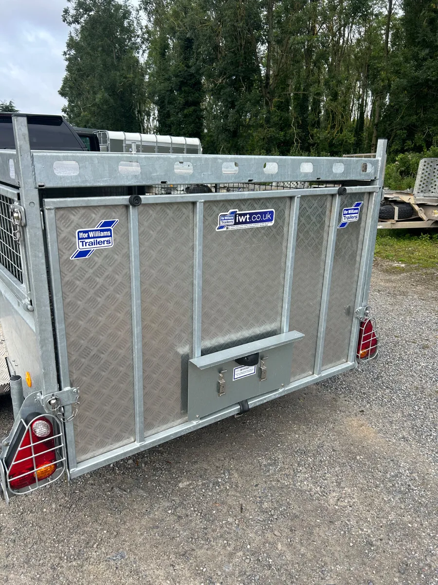 2024 Ifor Williams 8x5 Q8b Braked Single Axle - Image 3