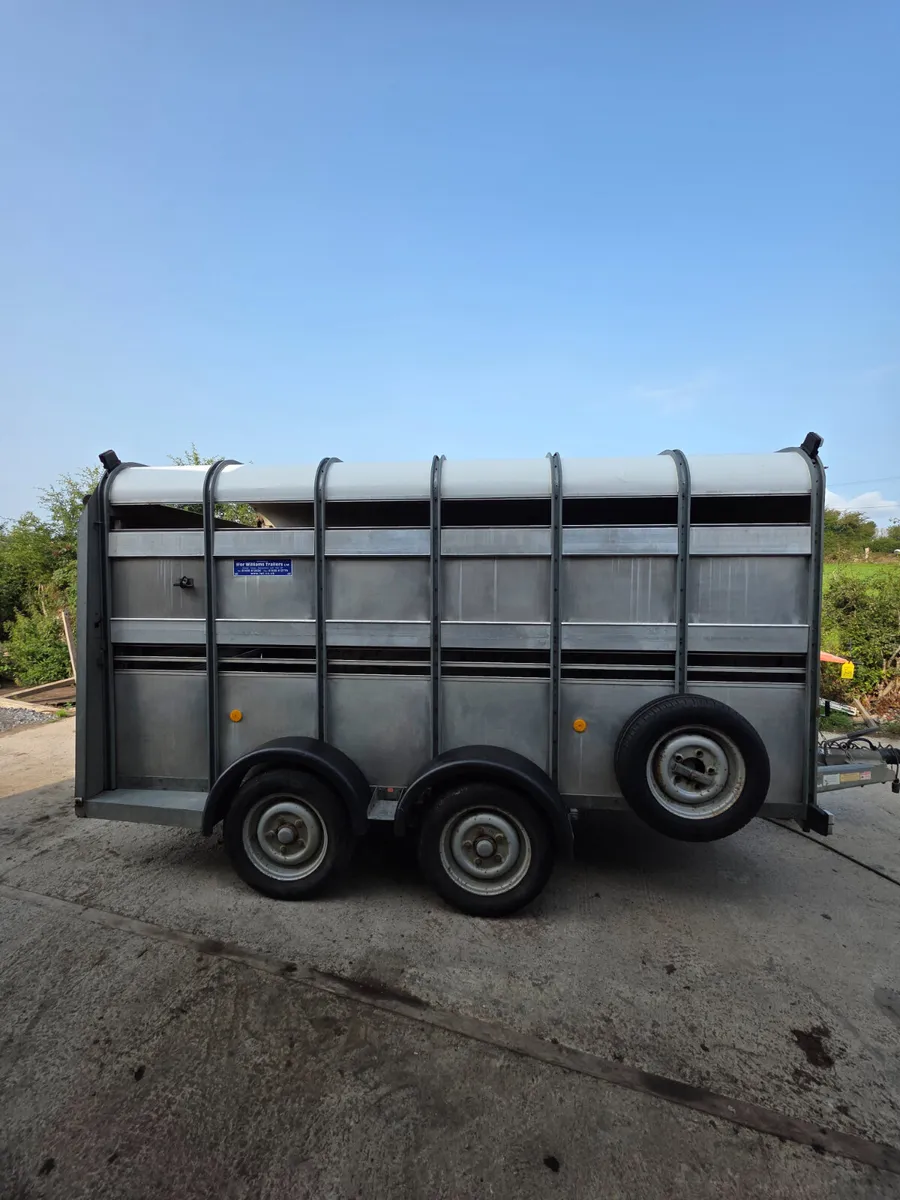 12ft ifor Williams livestock trailer - Image 1