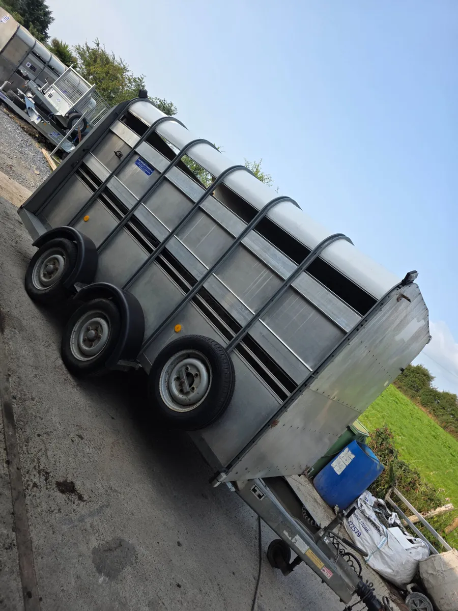 12ft ifor Williams livestock trailer - Image 2