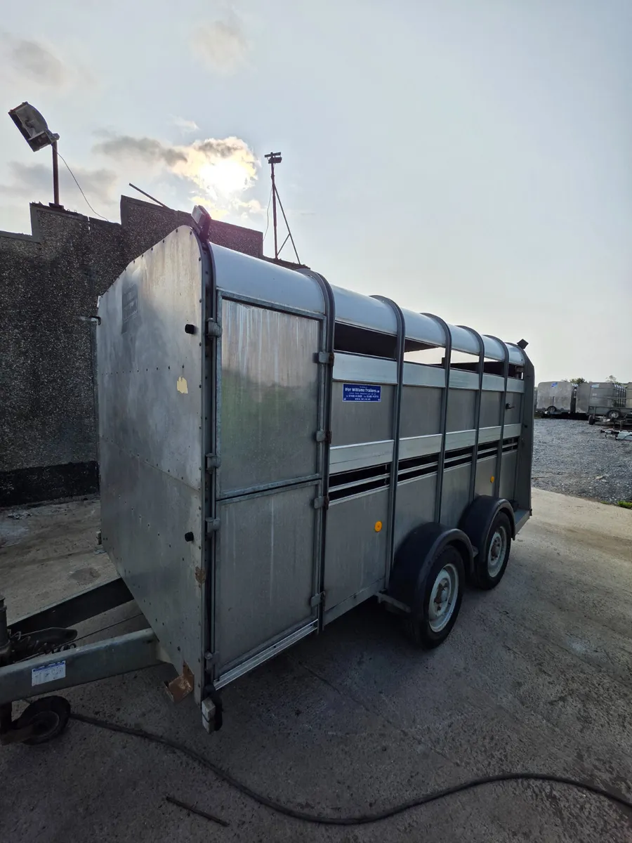 12ft ifor Williams livestock trailer - Image 3