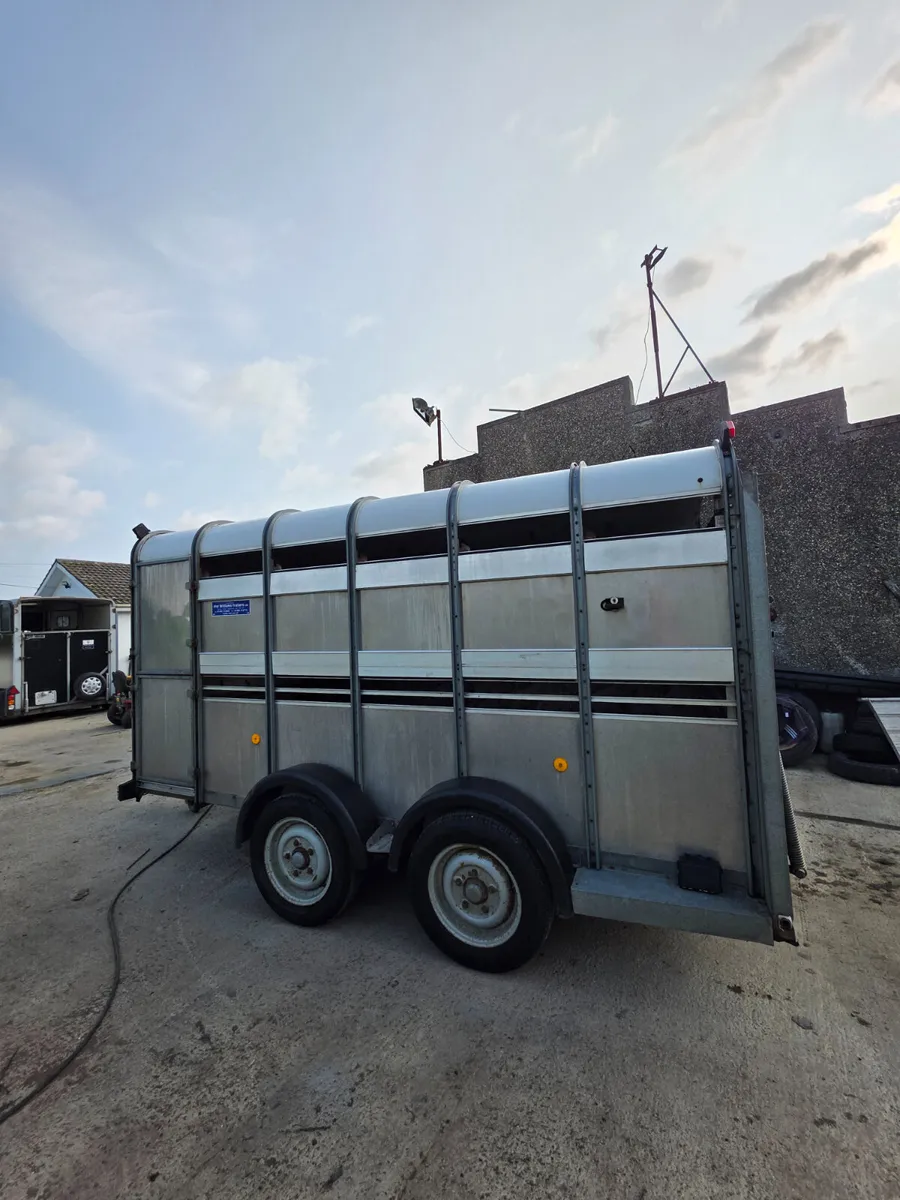 12ft ifor Williams livestock trailer - Image 4