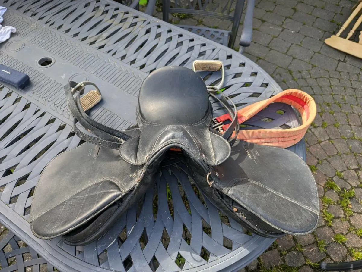 16" Saddle - Image 1