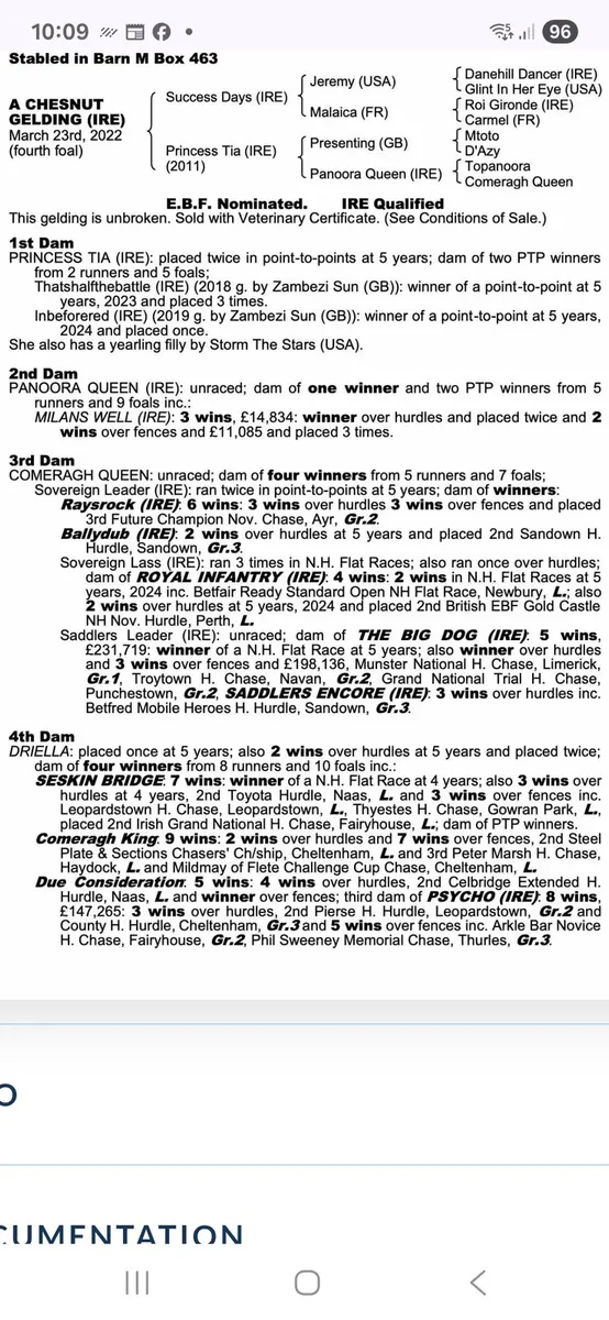 Presenting Mare - Image 4