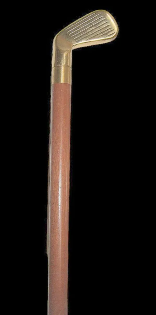 Vintage Drinking/Walking Stick - Image 2