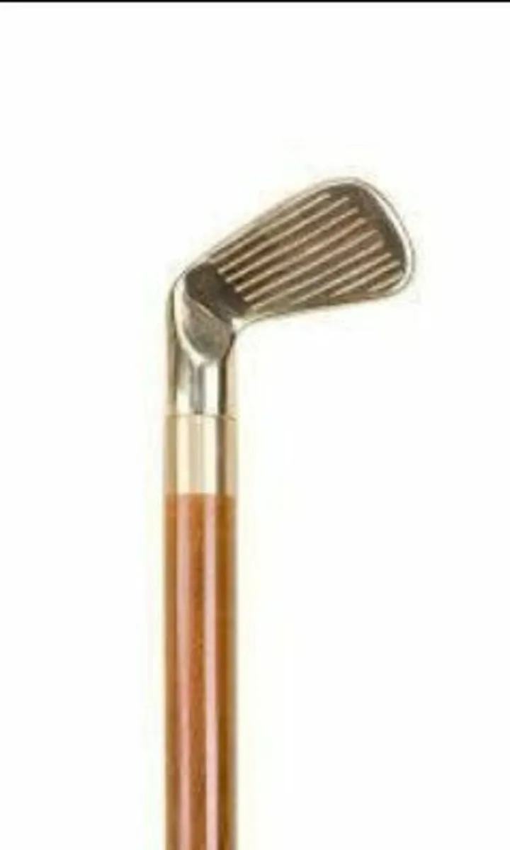 Vintage Drinking/Walking Stick - Image 3