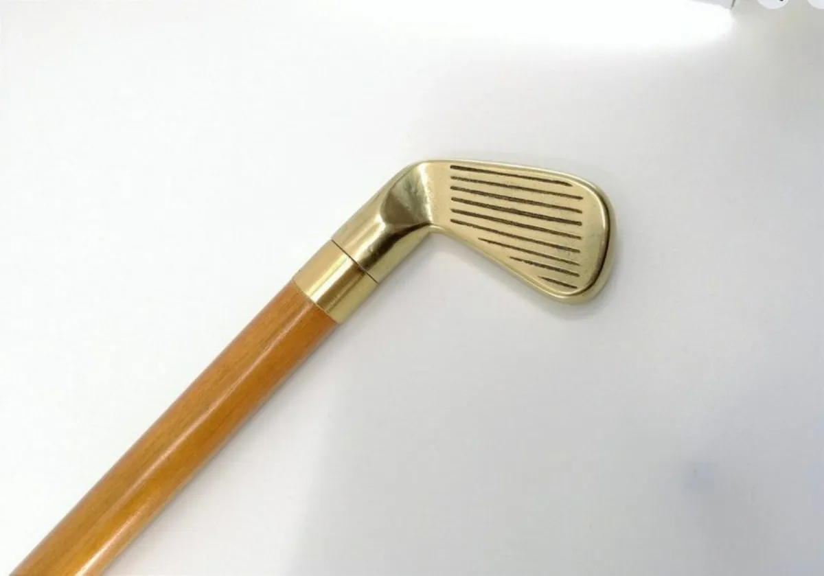 Vintage Drinking/Walking Stick - Image 4