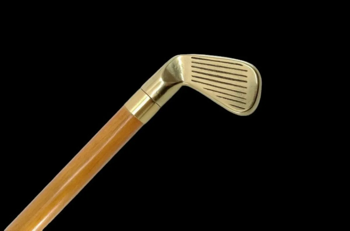 Vintage Drinking/Walking Stick - Image 1