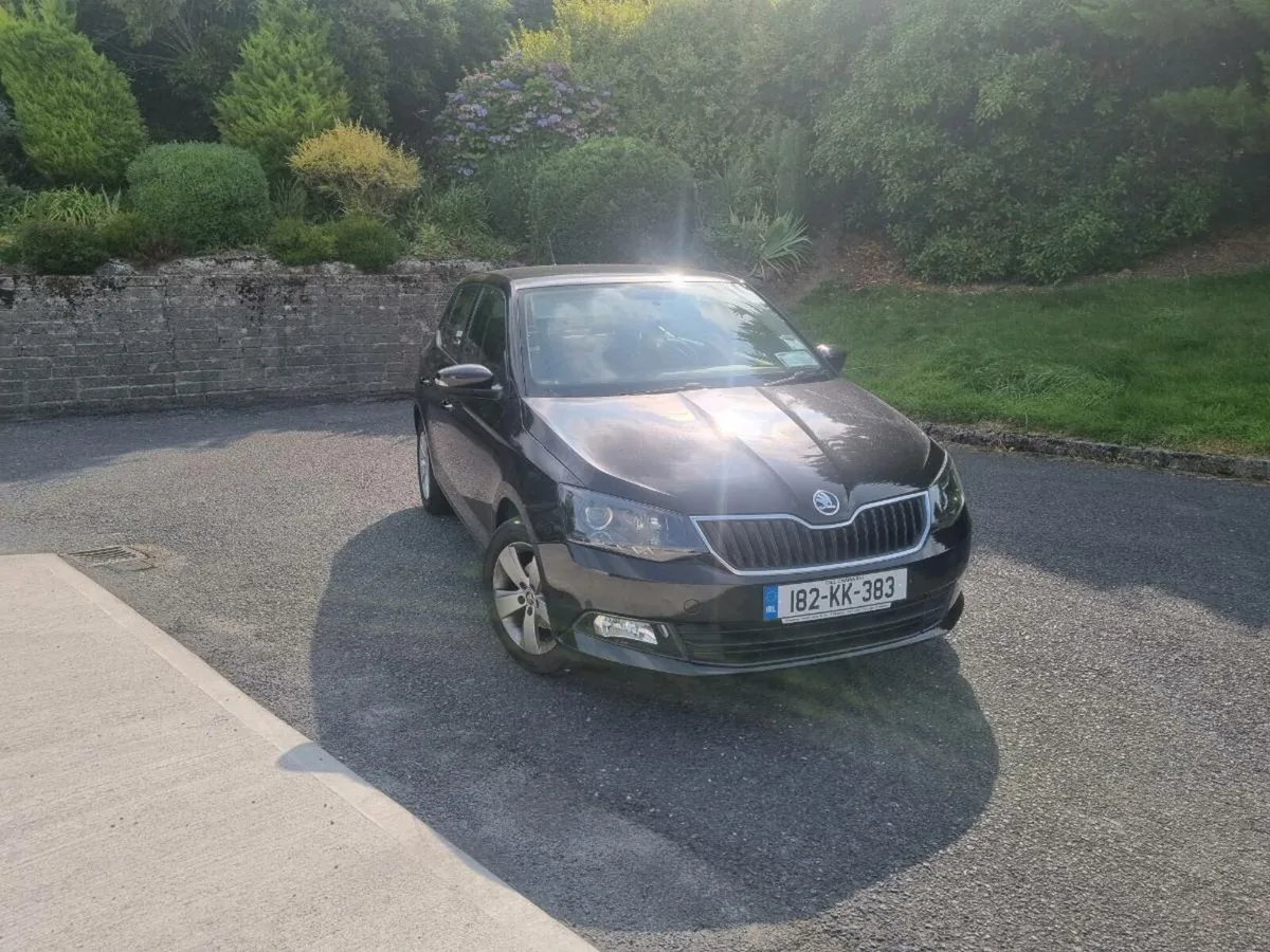 Skoda fabia - Image 1