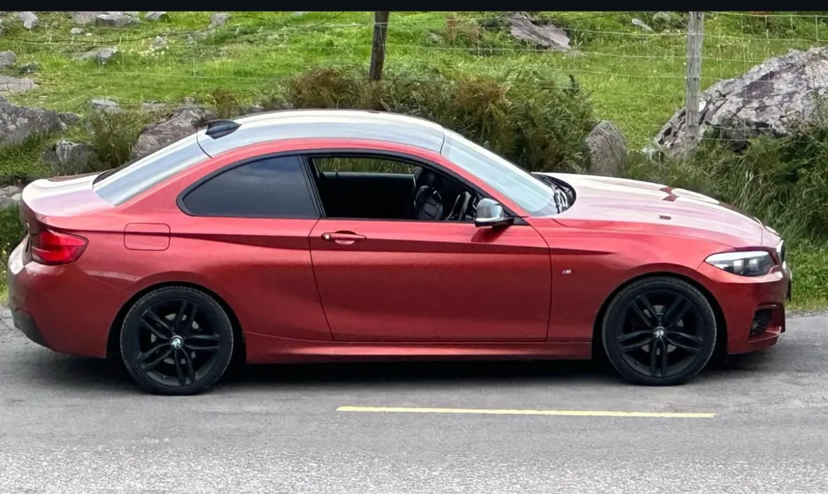 BMW 218D Automatic Diesel 2018 - Image 2