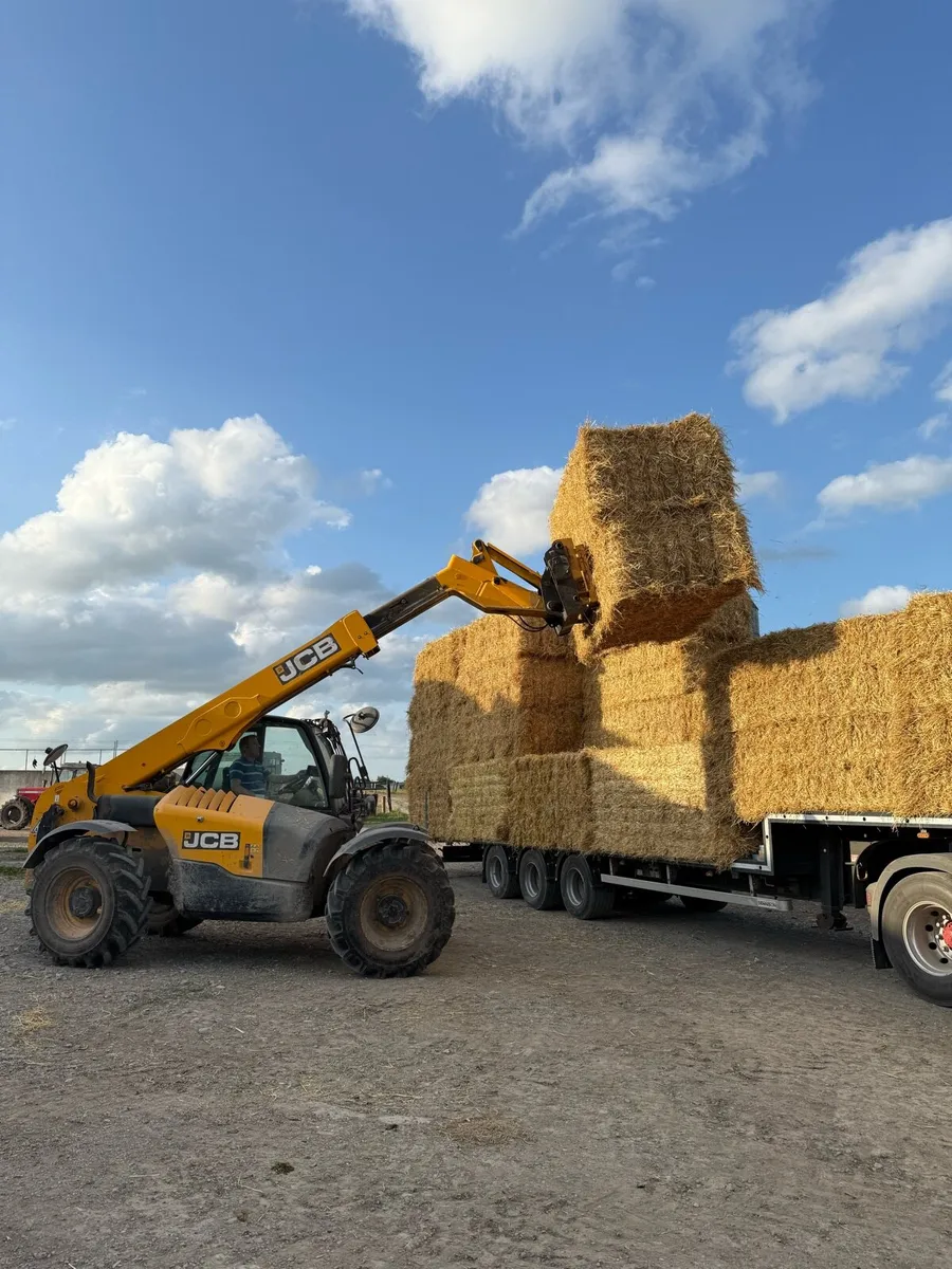Barley straw - Image 1