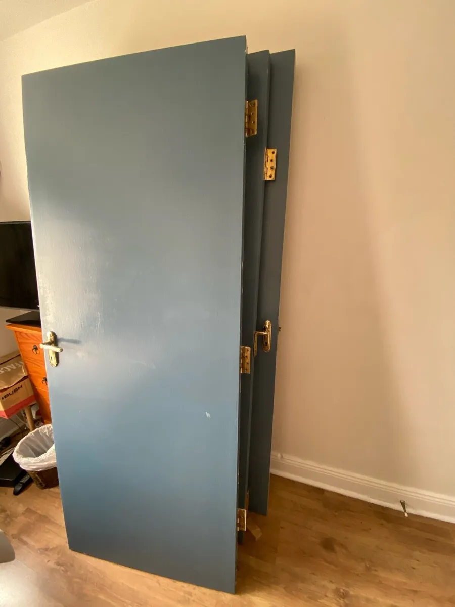 Flush panel doors. - Image 2