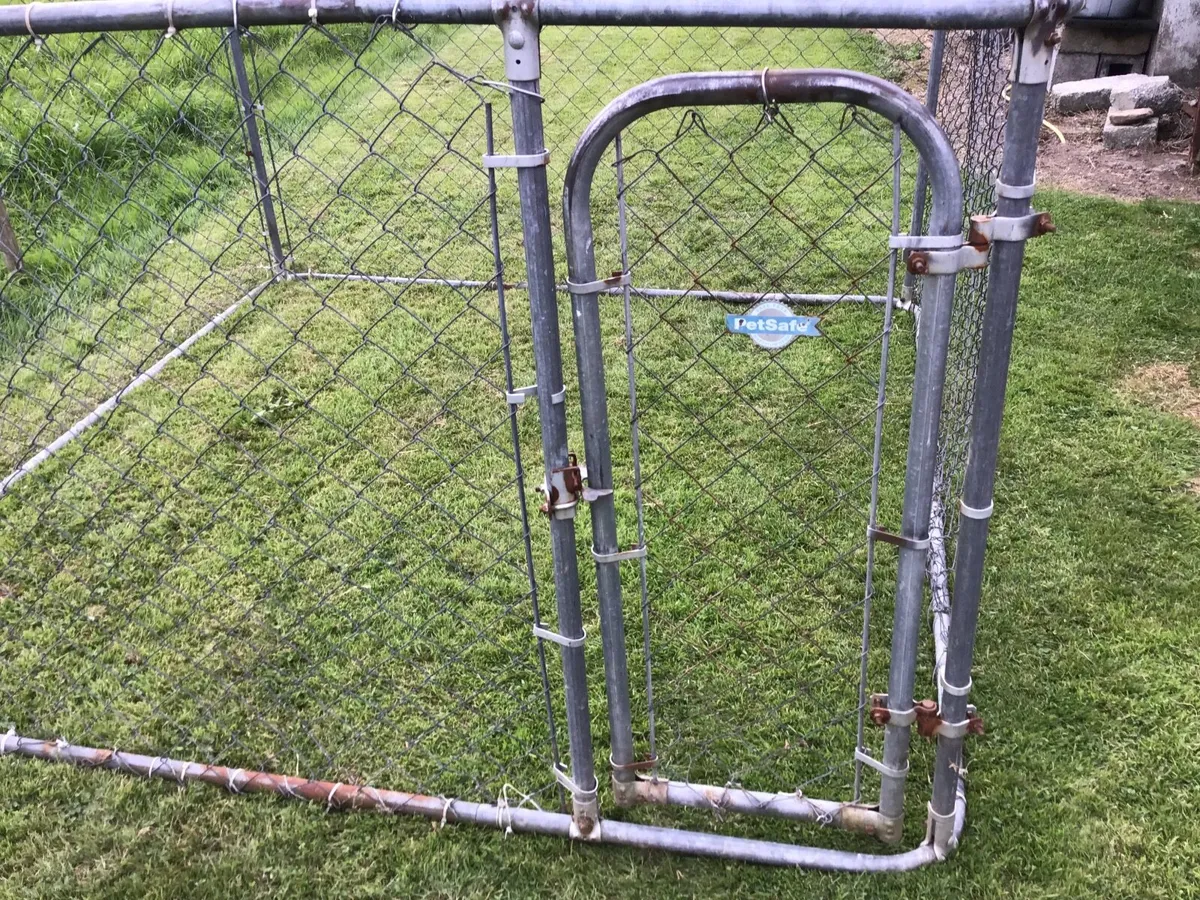 Dogs pen - Image 1