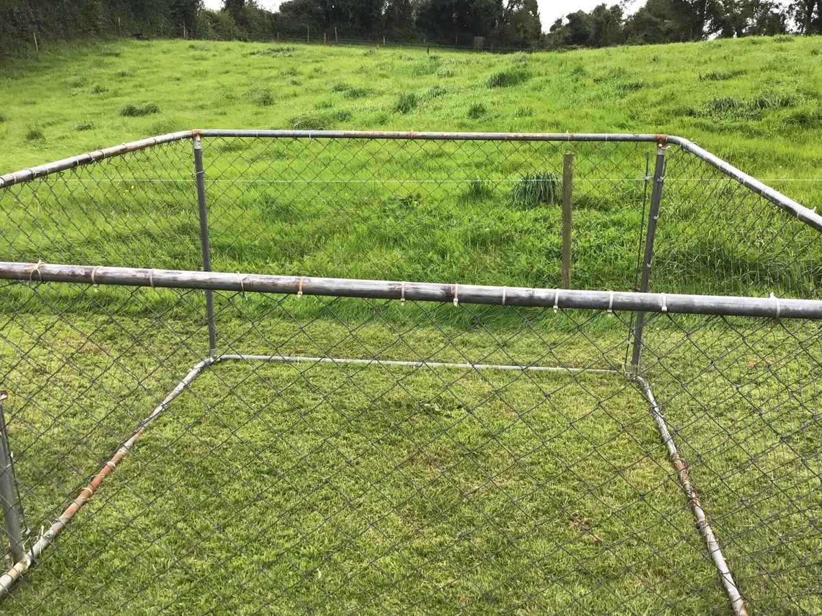 Dogs pen - Image 2
