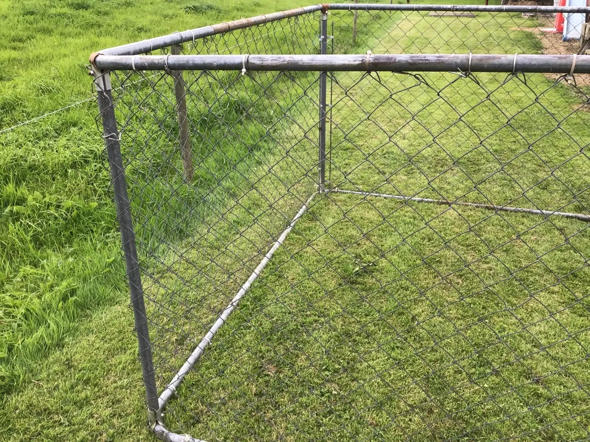 Dogs pen - Image 3