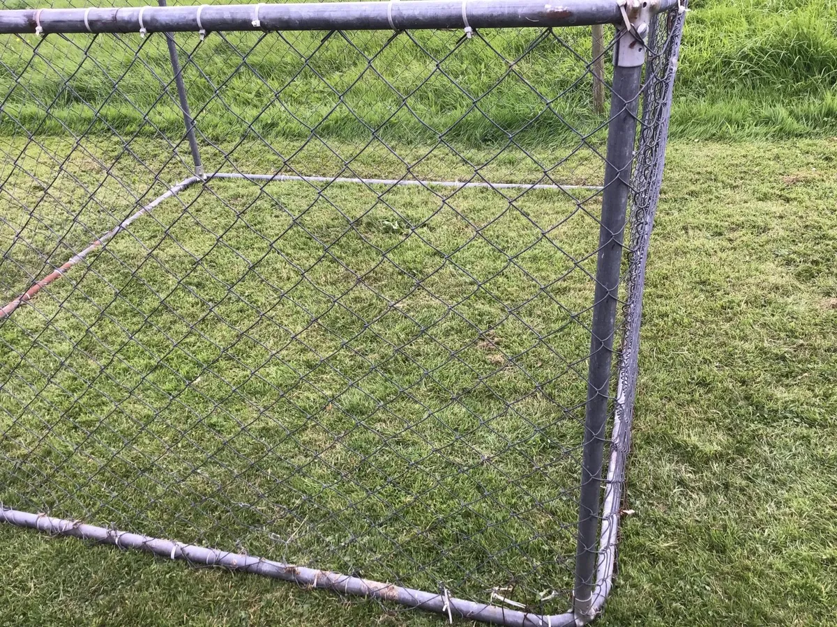 Dogs pen - Image 4