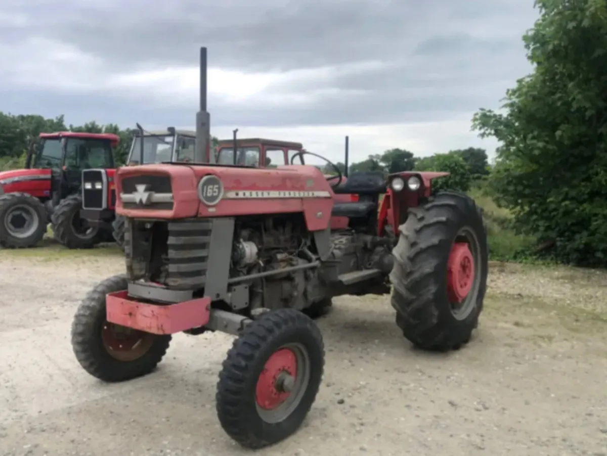 Massey Ferguson 165 - Image 1