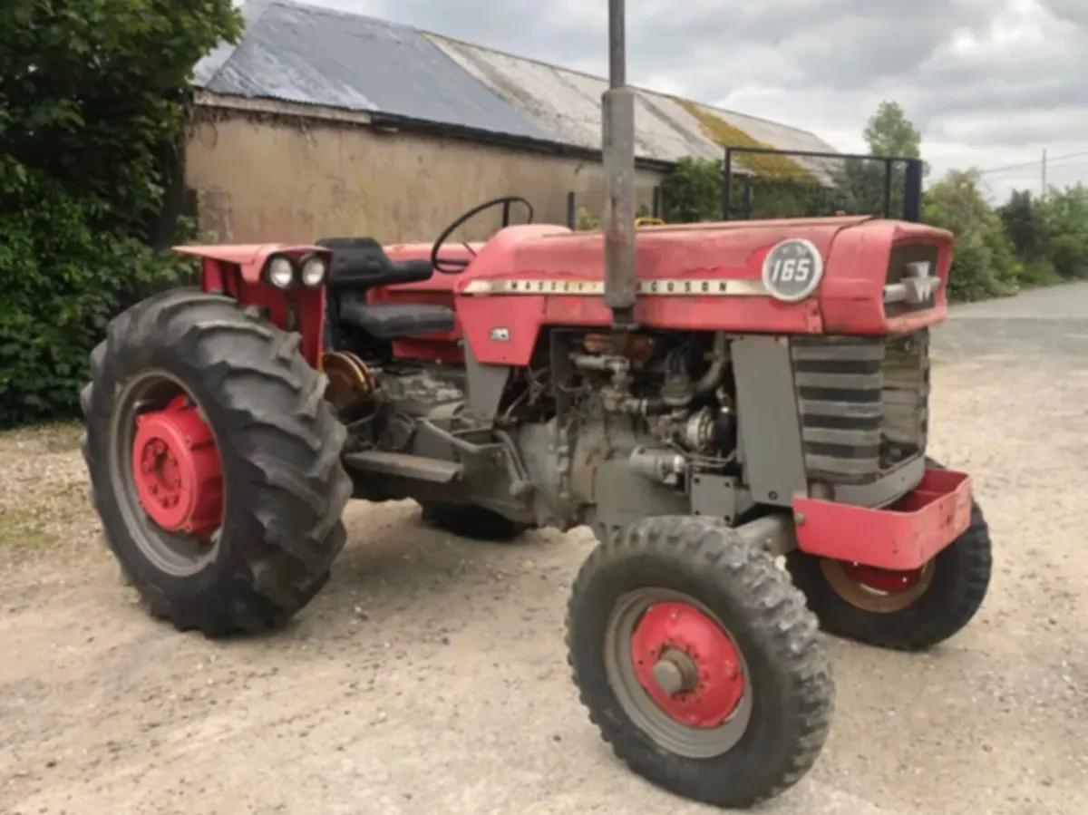 Massey Ferguson 165 - Image 2