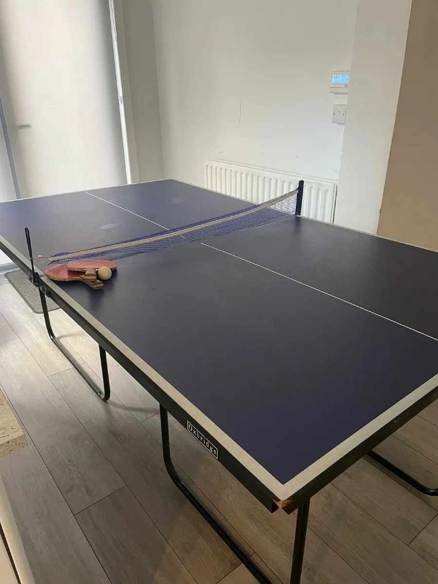 Table Tennis Table - Image 1