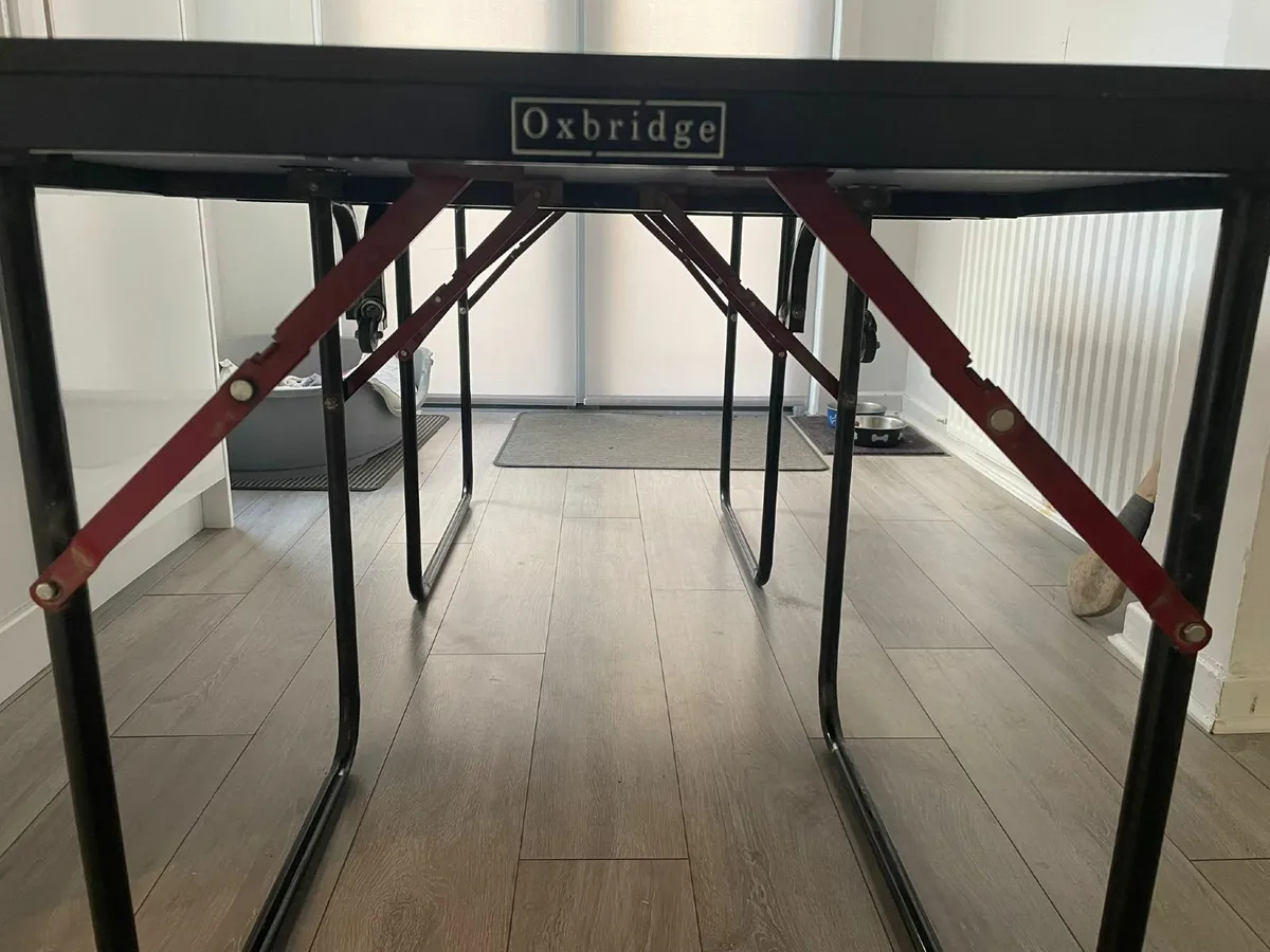 Table Tennis Table - Image 2