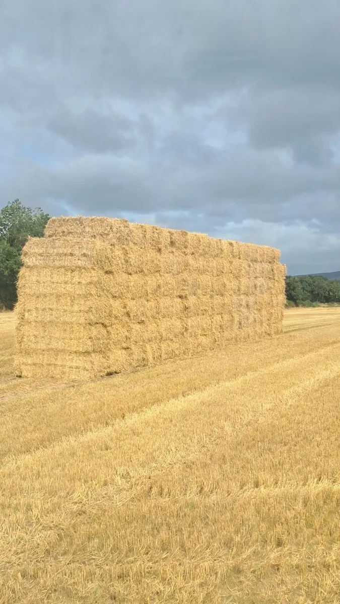 Wheaten straw 8x4x3