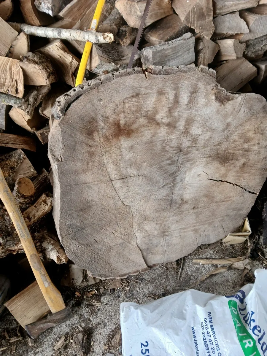 Ash rings - Image 1
