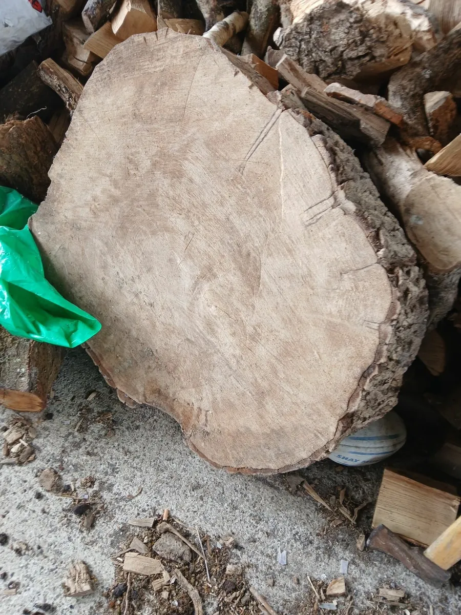 Ash rings - Image 2